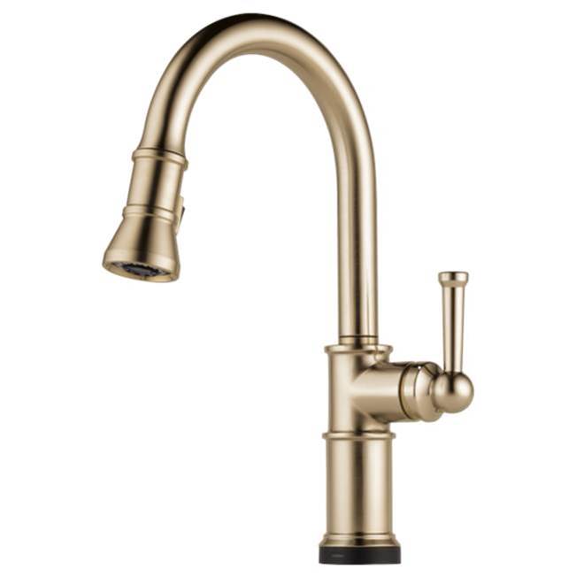 Brizo Canada Pull Down Faucet Kitchen Faucets item 64025LF-GL