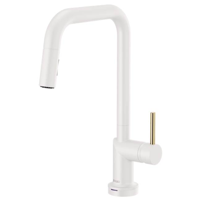 Brizo Canada Pull Down Faucet Kitchen Faucets item 64065LF-MWLHP