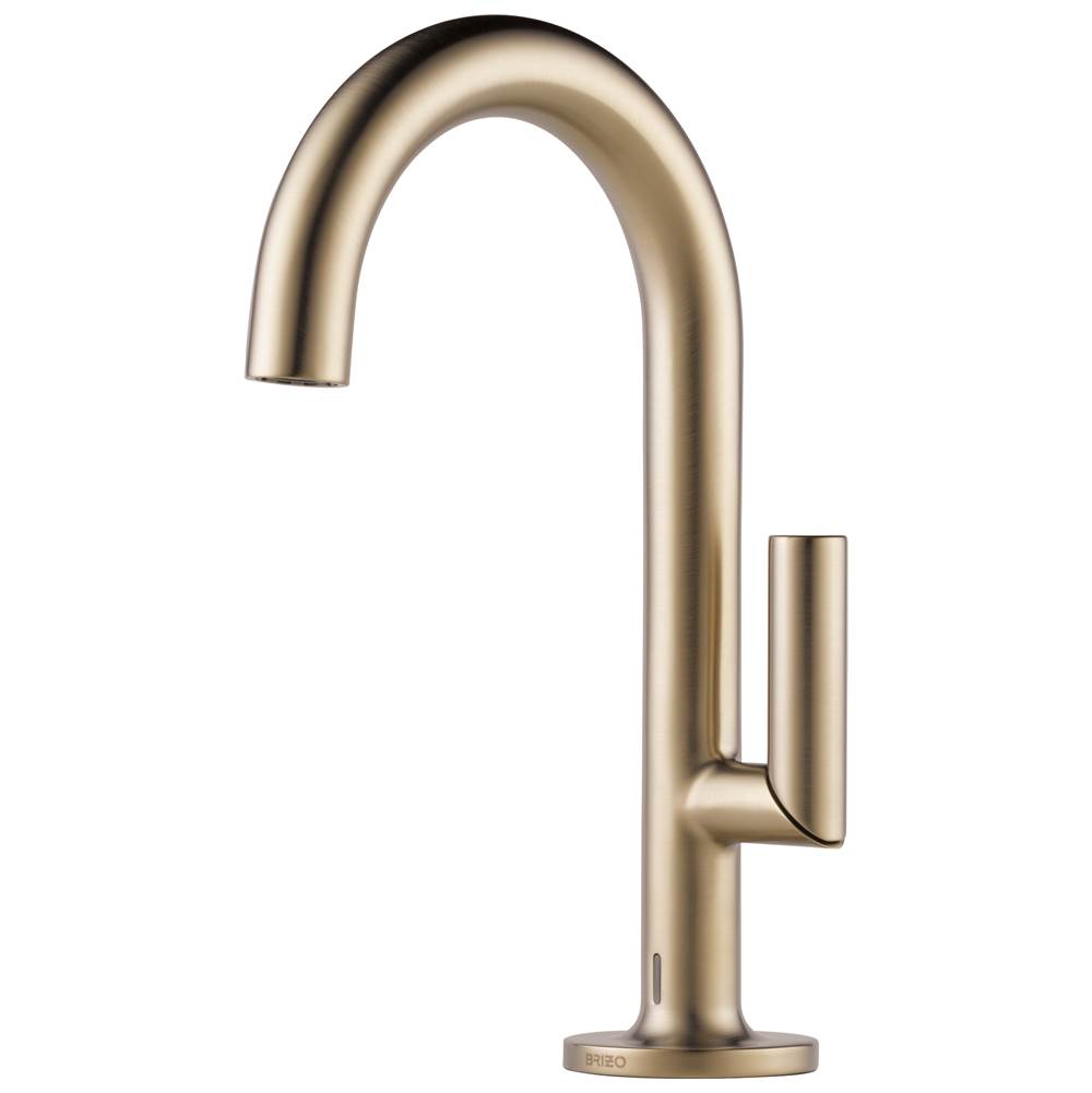 Brizo Canada Single Hole Bathroom Sink Faucets item 65675LF-GL