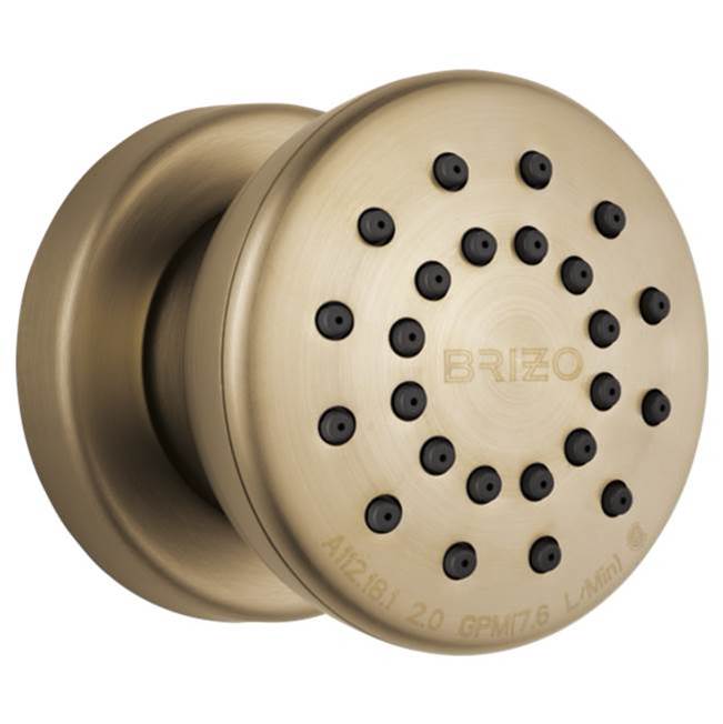 Brizo Canada Bodysprays Shower Heads item 84110-GL
