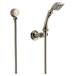 Brizo Canada - 85885-PN - Arm Mounted Hand Showers