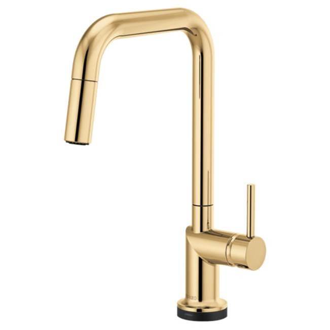 Brizo Canada Pull Down Faucet Kitchen Faucets item 64065LF-PGLHP
