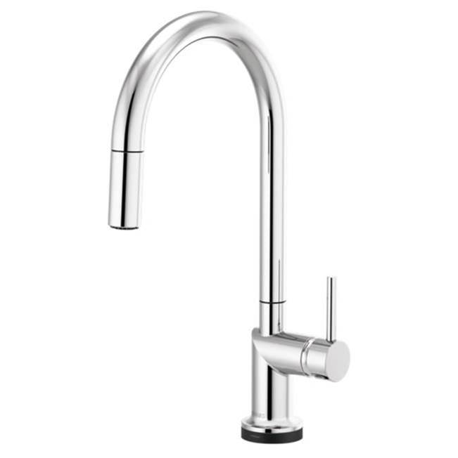 Brizo Canada Pull Down Faucet Kitchen Faucets item 64075LF-PCLHP