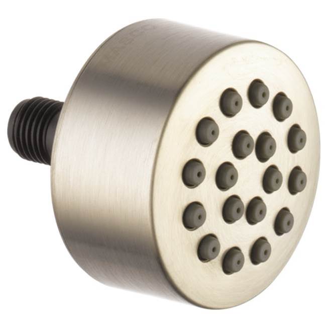 Brizo Canada Bodysprays Shower Heads item SH84103-BN