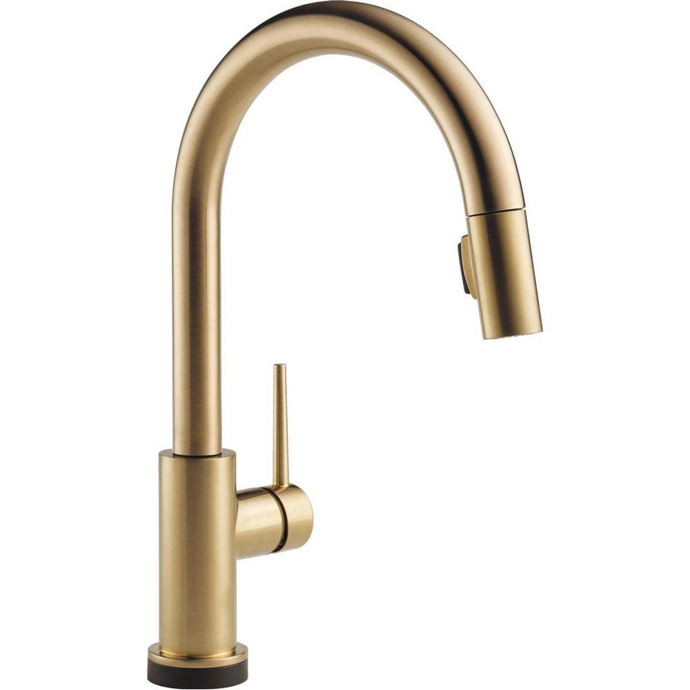 Bathworks ShowroomsDelta CanadaTrinsic® Single Handle Pull-Down Kitchen Faucet with Touch<sub>2</sub>O® Technology