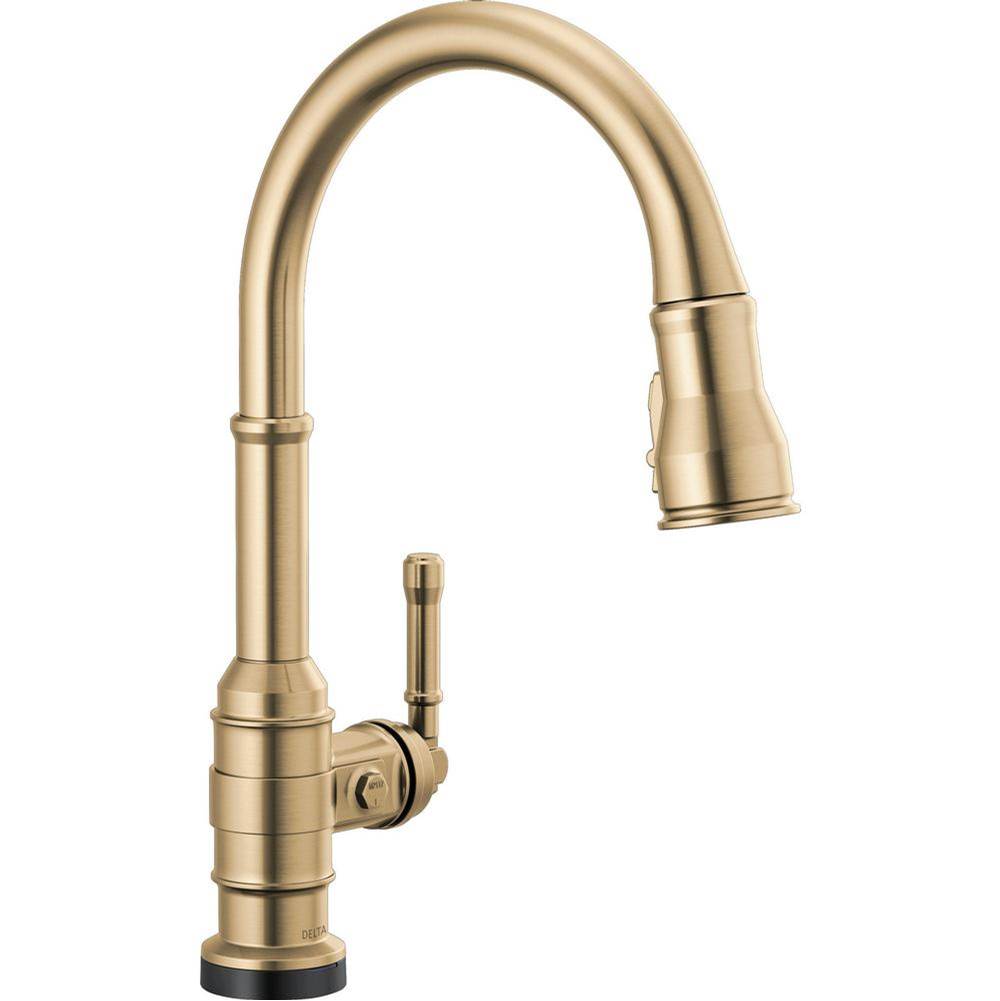 Delta Canada Pull Down Faucet Kitchen Faucets item 9190T-CZ-DST