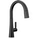 Delta Canada - 9191-BL-DST - Pull Down Kitchen Faucets