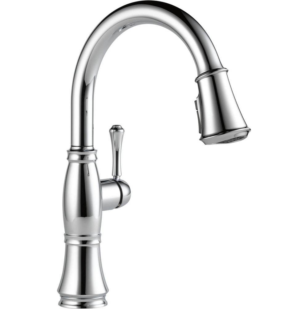 Delta Canada Pull Down Faucet Kitchen Faucets item 9197-PR-DST