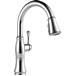 Delta Canada - 9197-PR-DST - Pull Down Kitchen Faucets