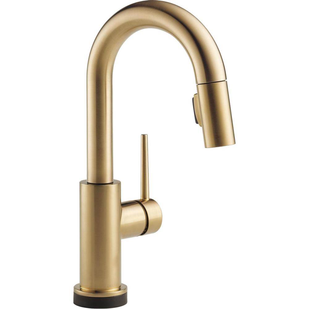 Delta Canada  Bar Sink Faucets item 9959T-CZ-DST