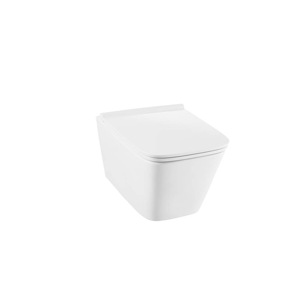 Bathworks ShowroomsDXVDxv Modulus Wall Hung Toilet  - Cw