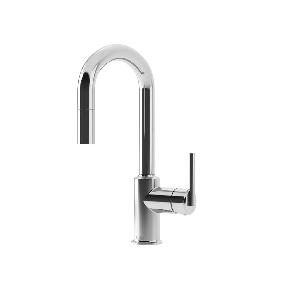 Bathworks ShowroomsKaliaCITE Junior™ Single Handle Kitchen Faucet Pull-Down Dual Spray Chrome