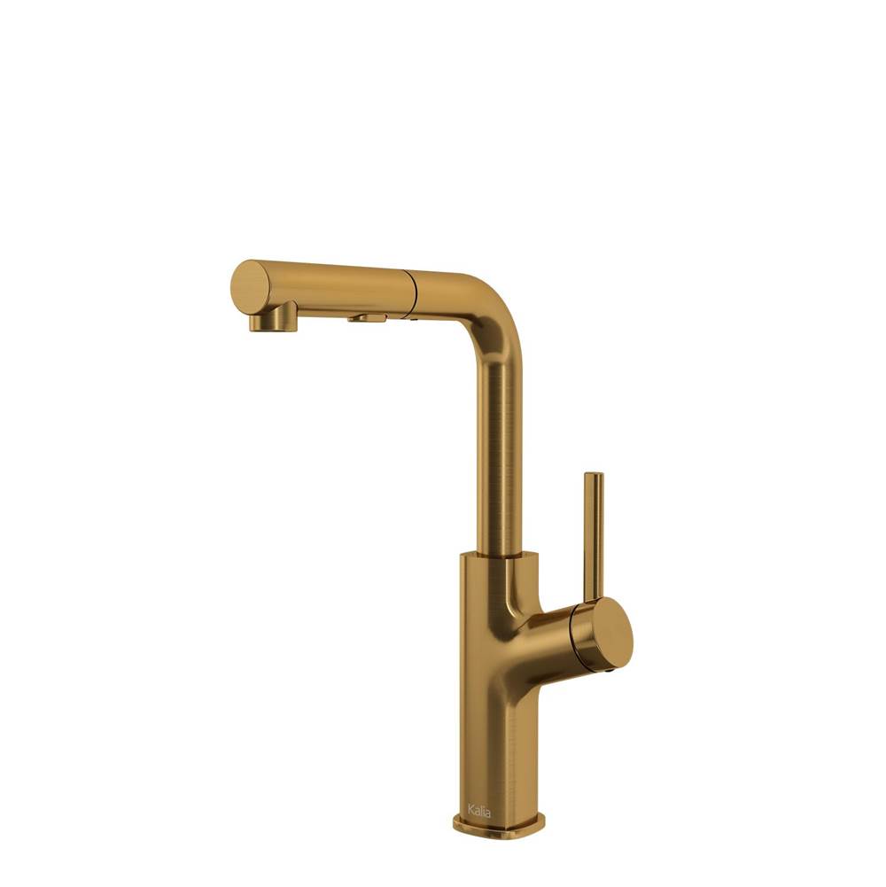 Bathworks ShowroomsKaliaMASIMO surfer™ Single Handle Kitchen Faucet Pull-Out Dual SprayBrushed Gold