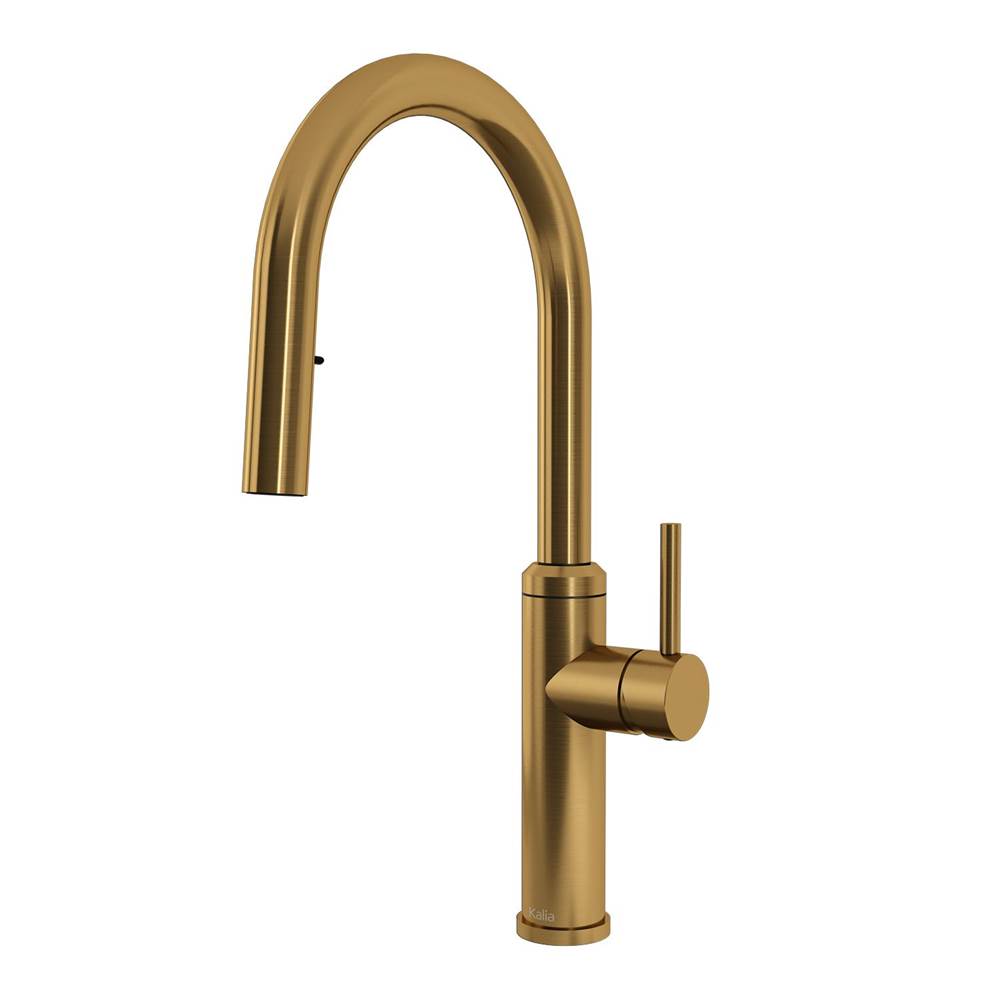 Bathworks ShowroomsKaliaENORA diver™ Single Handle Kitchen Faucet Pull-Down Dual Spray Brushed Gold