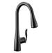 Moen Canada - 7594EVBL - Voice Activated Kitchen Faucets